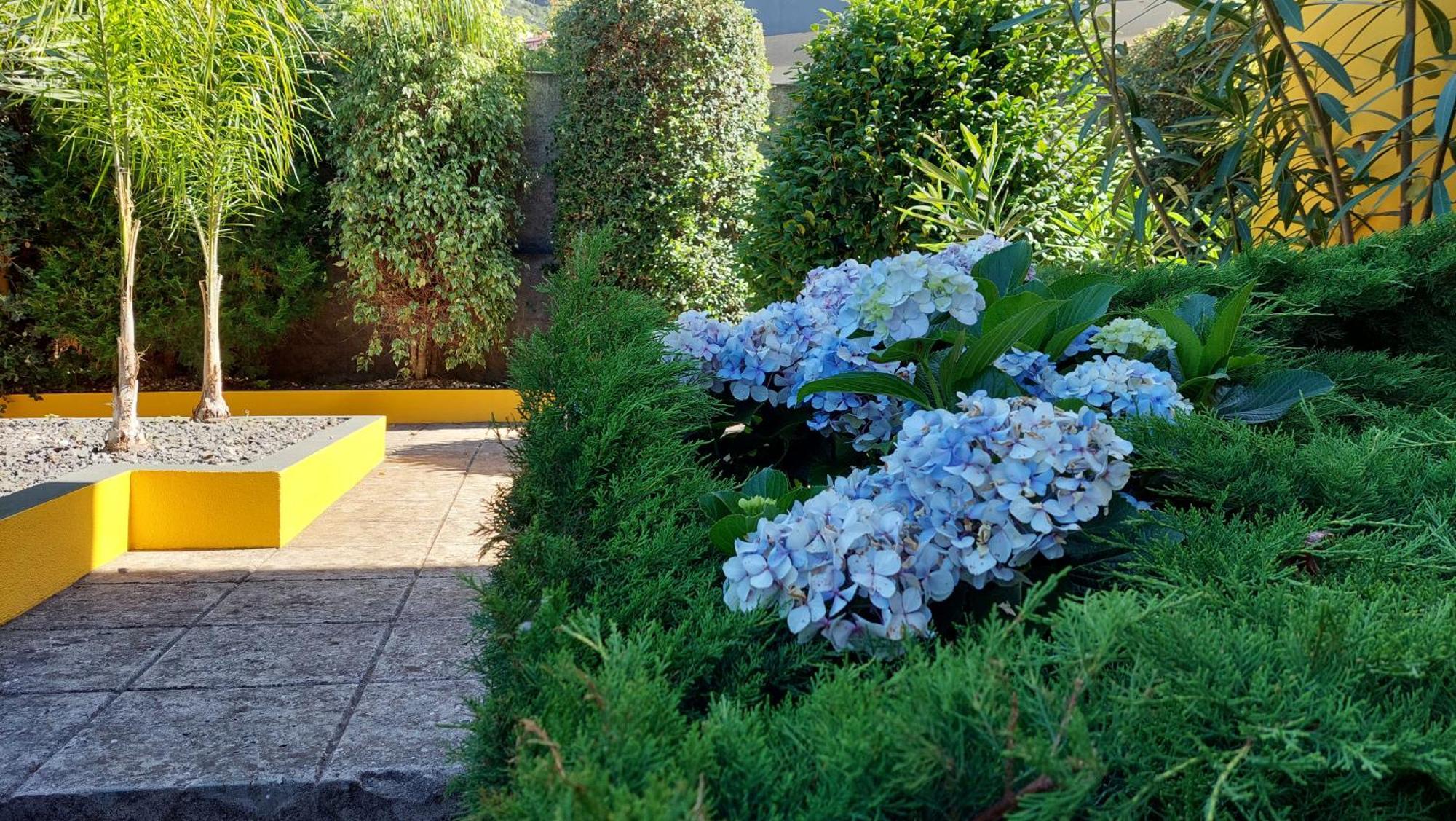 Villa Strelitzia Funchal  Exterior photo